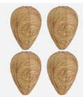 4-Pack Wasp Nest Decoy